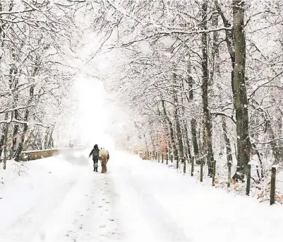  ?? ?? Safety first Lynn Stewart and Daisy negotiatin­g the South Crieff Road in winter. Pic: Jennifer Tainsh