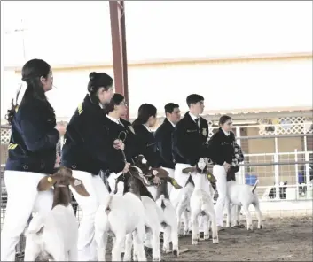  ?? SHARON BURNS PHOTO ?? Students showcase their goats in the arena for the judges during the Livestock Show Weekend, Saturday, March 5, at the California Mid-Winter Fair in Imperial.