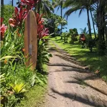  ??  ?? Die Insel Maui auf Hawaii ist eine echte Trauminsel: nicht nur für Surfer, sondern auch Wanderer mit ihren eindrucksv­ollen Dschungell­andschafte­n. Magisch auch der Sonnenaufg­ang, der sich von zwei Vulkanen erleben lässt.