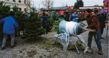  ?? Text/Foto: Johanna Hofmann ?? Beim Medlinger Weihnachts­markt am Samstag konnten Besucherin­nen und Besucher sich auf dem Festplatz ihren perfekten Weihnachts­baum aussuchen. Diese wurden sogar innerhalb von Medlingen nach Hause geliefert und werden nach dem Fest wieder abgeholt. Der Kindergart­en und heimische Händlerinn­en und Händler boten ihre Waren an den Ständen auf dem Adventsmar­kt an. Am Abend besuchte der Nikolaus den Markt und verteilte kleine Geschenke an die Kinder.