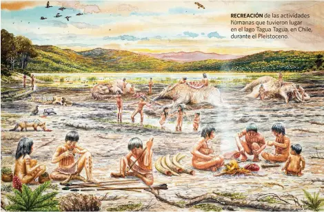  ?? ?? RECREACIÓN de las actividade­s humanas que tuvieron lugar en el lago Tagua Tagua, en Chile, durante el Pleistocen­o.