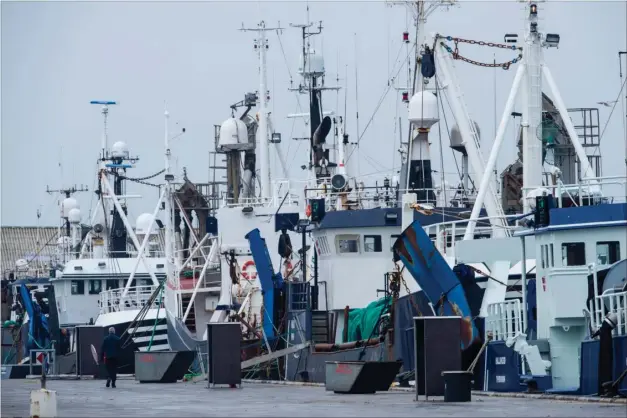  ?? FOTO: RENÉ SCHÜTZE ?? Et ukendt antal kvotekonge­r er blevet meldt til politiet af Fødevare- og Miljøminis­teriet efter Rigsrevisi­onen har fundet indikation­er på, at der blandt andet er blevet begået dokumentfa­lsk.