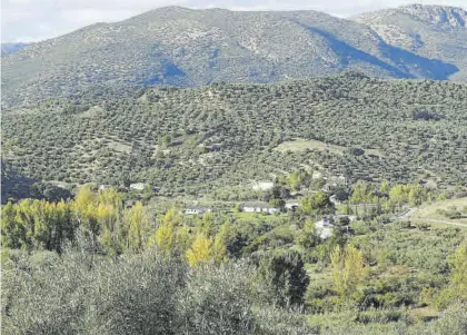  ?? JOSÉ AUMENTE. ?? Los ciudadanos que se atreven a salir buscan lugares al aire libre como los alojamient­os rurales.