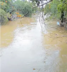  ?? EDUARDO DE LA VEGA ?? Personal de Conagua mantiene bajo supervisió­n el cauce, a la altura del puente Metlac