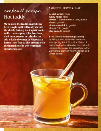 Hot Toddy Recipe - Cognac Cocktail Recipe