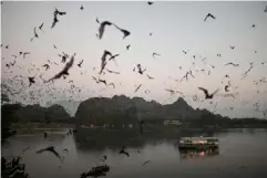  ?? (AFP/Getty) ?? Bats swarm out from Linno Gu cave in Hpa-An, Myanmar