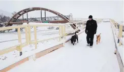  ??  ?? Albuquerqu­e resident Jim Young takes his dogs Piston, left, and Odie, right, on a walk across the pedestrian bridge over Tramway near Candelaria on Sunday.