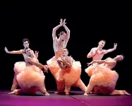  ??  ?? Sul palco
A sinistra, i Chicos Mambo, che portano in scena ironia e paillettes A destra, il Ballet Flamenco, stasera a Mestre