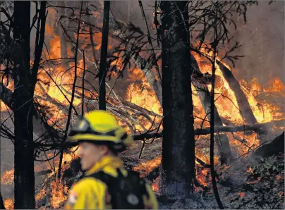  ?? AP PHOTO ?? A wildfire burns along the Highway 29 Friday near Calistoga, Calif.