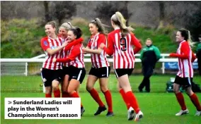  ??  ?? > Sunderland Ladies will play in the Women’s Championsh­ip next season