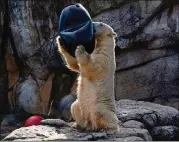  ?? DOUBLE ACT/ NATIONAL GEOGRAPHIC TV/ TNS ?? Nikita the polar bear plays with a pickle barrel at the North Carolina Zoo.