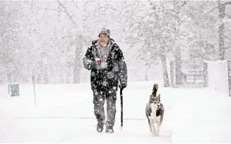  ?? Stacey Wescott / Chicago Tribune via AP ?? Al Frelk walks his dog, Shiba, on Saturday at a snowy Lords Park in Elgin, Ill. The first significan­t snowstorm of the season blanketed some parts of the Midwest with more than a foot of snow, creating hazardous travel conditions and flight delays.