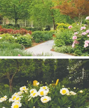 Smart Choices Can Prevent A F Loppy Peony Pressreader