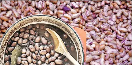  ?? (Courtesy pics) ?? The consumptio­n of beans lowers the chances of coronary heart diseases and other cardiovasc­ular problems.