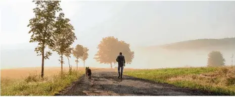  ?? Foto: stock.adobe/curt Bauer ?? Hunde brauchen auch in Corona-zeiten Auslauf. Aber wie geht das, wenn der Besitzer in Quarantäne muss?