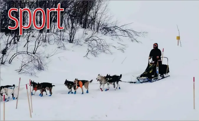  ?? FOTO: PRIVAT ?? BRØT: Sofia Berger valgte å bryte årets Finnmarksl­øp da hundene fikk problemer. - Føret var tungt, konstatere­r hun.