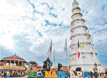  ?? LETICIA SÁNCHEZ MEDEL ?? Tienen el árbol más grande de Latinoamér­ica, que mide 65 metros de altura.