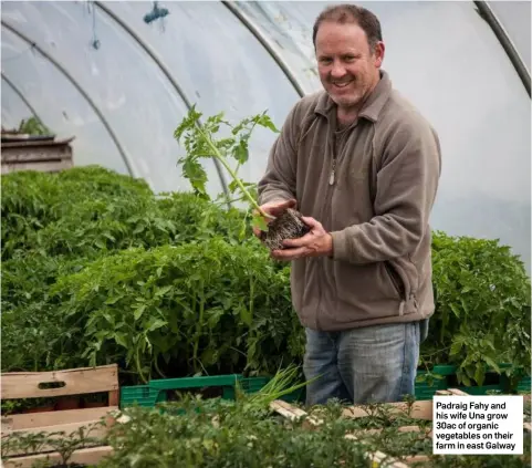  ??  ?? Padraig Fahy and his wife Una grow 30ac of organic vegetables on their farm in east Galway