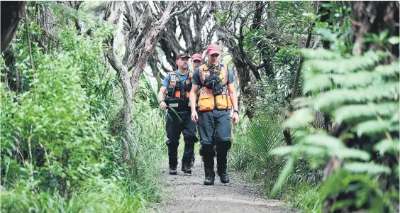  ?? Picture / Chris Loufte ?? The search area for Kim Bambus in West Auckland has included the cliff path at Piha.