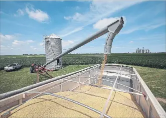  ?? SCOTT OLSON/GETTY IMAGES ?? Farmer John Duffy loads soybeans from his grain bin onto a truck before taking them to a grain elevator.
