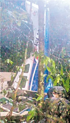  ?? ?? Wreckage of the light aircraft in the jungle and, right, a feeding bottle and a hairband found by rescuers