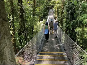  ?? SUSAN GLASER — CLEVELAND.COM ?? A bridge through the tree canopy at Arenal Observator­y Lodge near La Fortuna, Costa Rica.