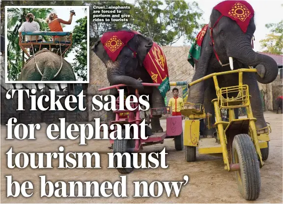  ?? ?? Cruel...elephants are forced to perform and give rides to tourists