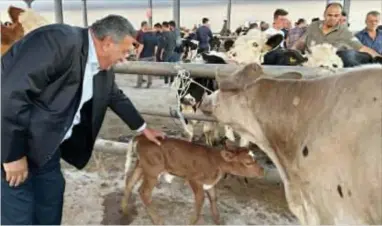  ?? ?? Niğde milletveki­li Ömer Fethi Gürer, zammın süt ineği besleyenle­rin cebine yeni iyatla süt parası girmeden önce çıktığını söyledi.