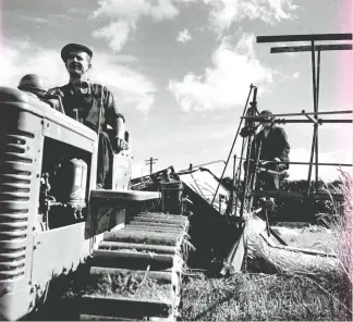  ?? ?? “The sound of the tractor and binder was creeping through my window — a purring, seductive sound”