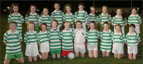  ??  ?? The St. Senan’s (Enniscorth­y) squad.