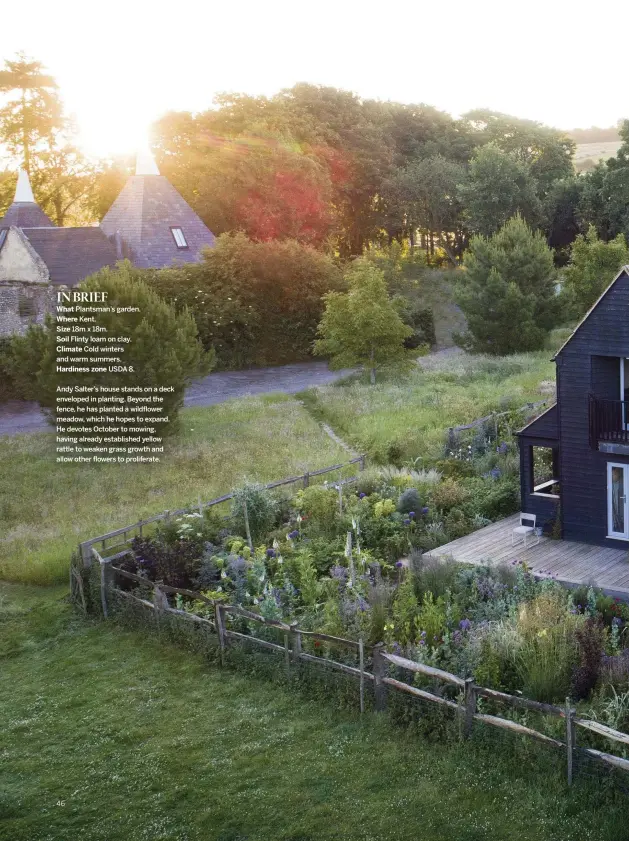  ??  ?? Andy Salter’s house stands on a deck enveloped in planting. Beyond the fence, he has planted a wildflower meadow, which he hopes to expand. He devotes October to mowing, having already establishe­d yellow rattle to weaken grass growth and allow other flowers to proliferat­e.