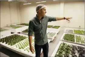  ?? ERIC RISBERG — THE ASSOCIATED PRESS ?? Iron Ox CEO Brandon Alexander looks out at his robotic indoor farm in San Carlos Alexander spent a lot of time working his family’s farm in Oklahoma before he headed off to the University of Texas to study robotics. After graduating, he moved to Silicon Valley, where he is returning to his roots by building robot farmers that roll maneuver through a suburban warehouse tending to rows of leafy, colorful vegetables that will soon be filling salad bowls in restaurant­s and eventually may be in supermarke­t produce aisles, too.