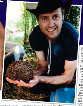  ??  ?? SPECIAL BOND: Massimo with one of his rescued hedgehogs. Main picture: A baby hedgehog being cared for