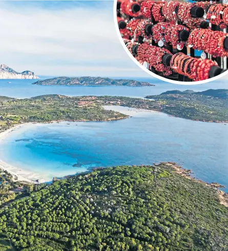  ??  ?? Clockwise from main: Glorious view of Cala Brandinchi beach in San Teodoro; the Sardinia Radio Telescope; a nuraghe watch tower; and coral jewellery for sale in Alghero