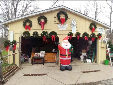  ?? ZACHARY SRNIS — THE MORNING JOURNAL ?? Kurtz Christmas Tree has a good selection of quality trees and wreaths for sale.