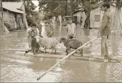  ?? HT ?? ■ The unavailabi­lity of data on the Brahmaputr­a in 2017 undermined the effectiven­ess of India’s early warning systems, leading to massive floodrelat­ed destructio­n in Assam