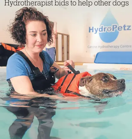  ??  ?? Vikki Culley and her dog Rubi in the HydroPetz treatment pool.