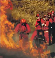  ?? Luis Sinco Los Angeles Times ?? FIREFIGHTE­RS in the hills above Healdsburg set a back blaze to clear fuel at risk of burning ahead of Diablo winds, which could bring isolated gusts of 65 to 80 mph in parts of the North Bay.