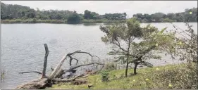  ?? PICTURES: FACEBOOK ?? The Silverglen Nature Reserve is to be protected by national environmen­tal laws. BELOW: Land grabbers gather at the reserve threatenin­g to build their shacks there.