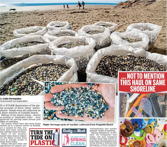  ??  ?? Plight: The huge sacks of ‘nurdles’ collected from Tregantle Beach