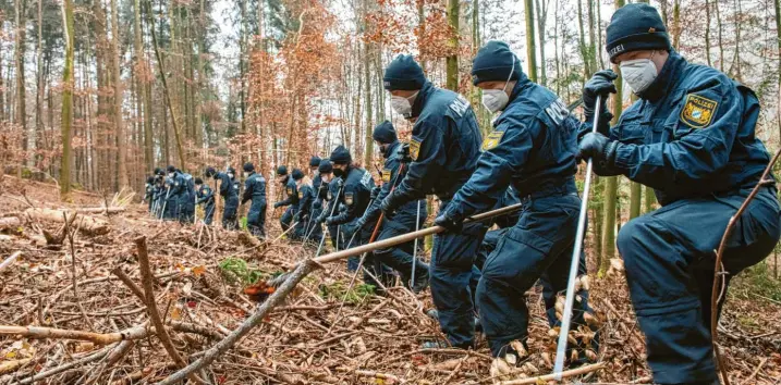  ?? Fotos: Stefan Puchner, dpa; Michael Böhm ?? Wie die sprichwört­liche Suche nach der Nadel im Heuhaufen: Bis zu 140 Polizistin­nen und Polizisten suchten in einem riesigen Waldstück bei Kipfenberg vor einigen Tagen nach Spuren von Sonja Engelbrech­t. Ein Waldarbeit­er hatte dort im Sommer des ver‰ gangenen Jahres einen Knochen der seit 1995 vermissten Münchnerin gefunden. Die neuerliche Suche nach ihr im Wald blieb erfolglos – nächstes Jahr wird sie voraussich­tlich fortgesetz­t.