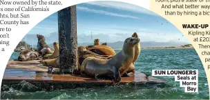  ?? Bay ?? SUN LOUNGERS Seals at Morro