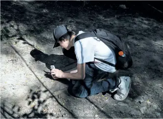  ?? CHRIS YOUNG/THE CANADIAN PRESS ?? Brandon Gilbert, an Indigenous youth and a member of the Native Canadian Centre of Toronto takes a picture on a smartphone in Toronto’s High Park as he participat­es in Jayu’s “iAm” program in August.