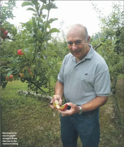  ??  ?? Kiverstein: to eat an apple straight from the tree is the sweetest thing