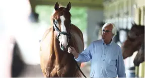  ?? (AFP) ?? In this June 6, 2018, picture, Triple Crown and Belmont Stakes contender Justify is walked in his barn by trainer Bob Baffert at Belmont Park in Elmont, New York, United States.