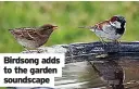  ??  ?? Birdsong adds to the garden soundscape