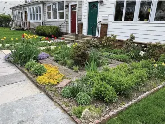  ?? AP PHOTO/JULIA RUBIN ?? A row house in New Rochelle, N.Y., has a front yard full of flowers and other plants, while neighborin­g houses have lawns of grass. Many people are converting parts of their lawns into planting beds for a variety of flowers, perennials and edible plants.