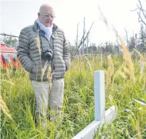  ?? NICHOLAS MERCER/THE CENTRAL VOICE ?? Jacques Drossaert pauses at the cross belonging to his uncle Alfred Drossaert in the St.martins-in-the-woods cemetery, the crash site of the Sabena DC-4. The site is 35 kilometres south of Gander.