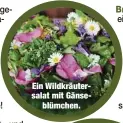  ?? ?? Ein Wildkräute­rsalat mit Gänseblümc­hen.