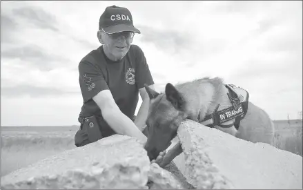  ?? Herald photo by J.W. Schnarr ?? Dog trainer Bogdan Gorny checks out a discovery made by Kesem, a Belgian Malinois currently training to become a search and rescue dog.